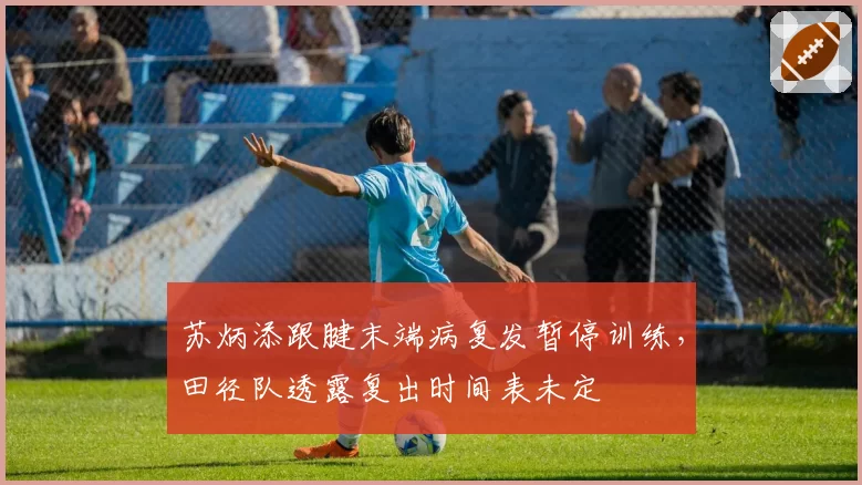 苏炳添跟腱末端病复发暂停训练,田径队透露复出时间表未定