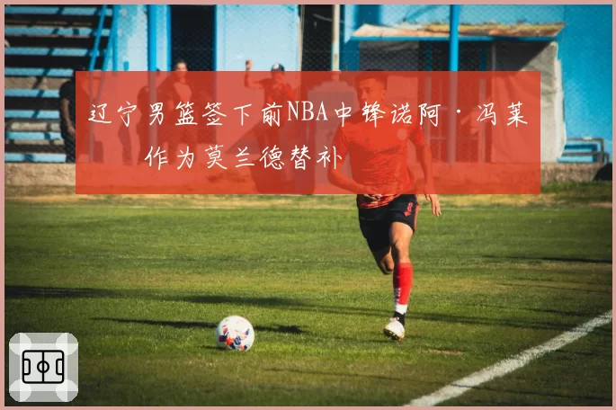 辽宁男篮签下前NBA中锋诺阿·冯莱，作为莫兰德替补