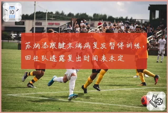 苏炳添跟腱末端病复发暂停训练,田径队透露复出时间表未定