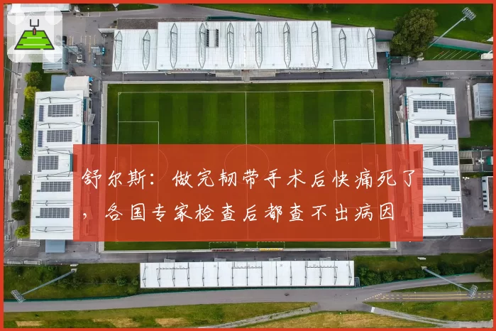 舒尔斯：做完韧带手术后快痛死了，各国专家检查后都查不出病因