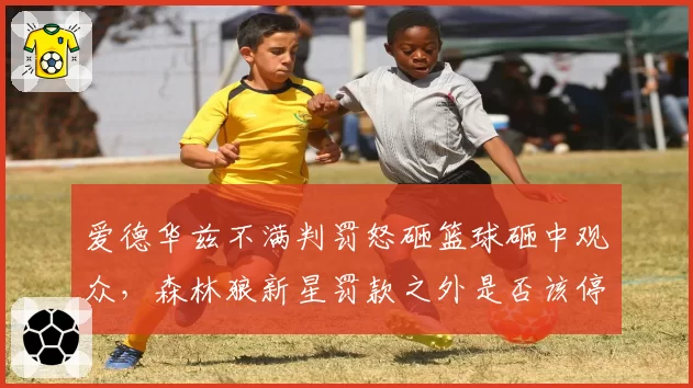 爱德华兹不满判罚怒砸篮球砸中观众，森林狼新星罚款之外是否该停赛？
